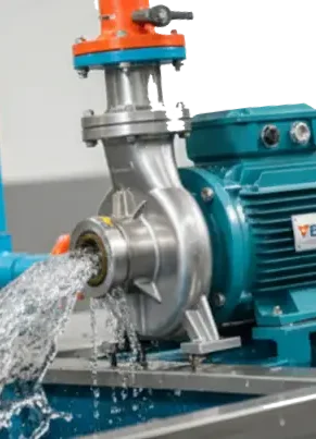 Gemini_Generated_Image_8c6cbo8c6cbo8c6c (1)